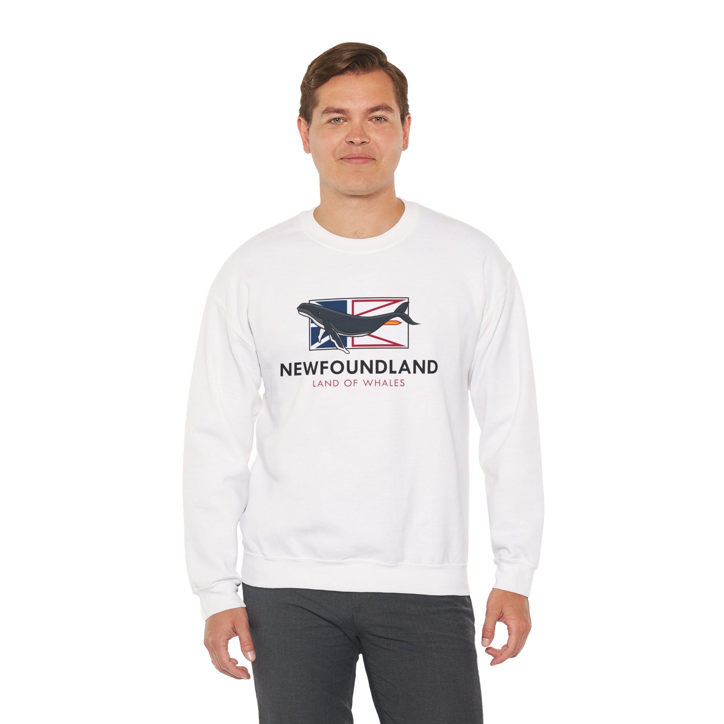 Newfoundland Whale Flag Sweatshirt